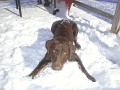 Katie playing in the snow